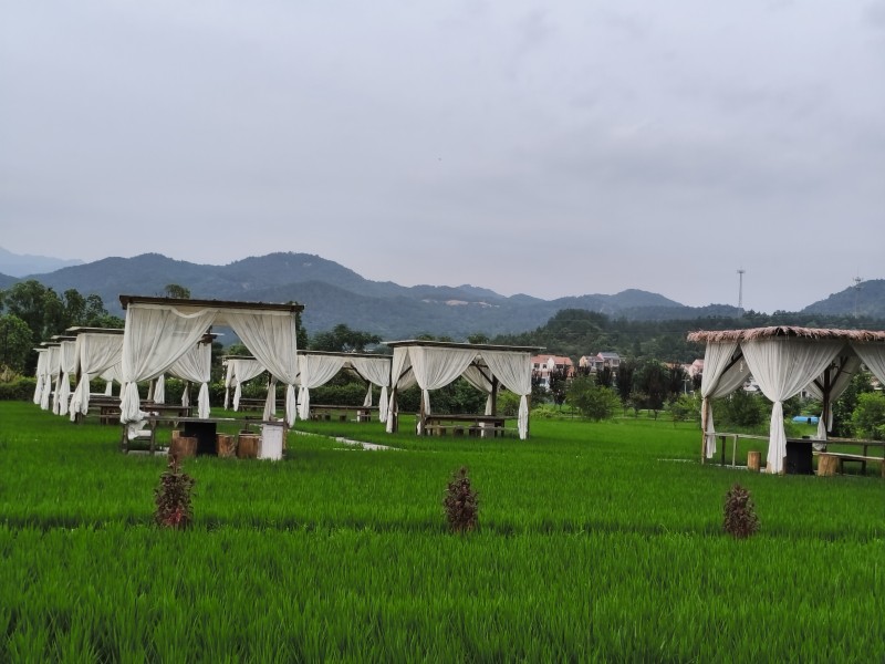 微信圖片_20250812154507.jpg 微信圖片_20250812154507.jpg